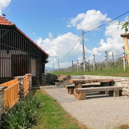 Apartmán Vineyard Maleric With Pool Access Dragatuš