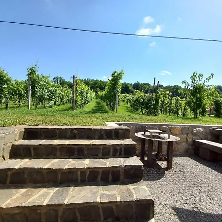 Vineyard Maleric With Pool Access Apartmán