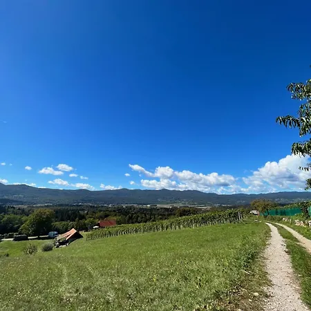 Apartmán Vineyard Maleric With Pool Access Dragatuš