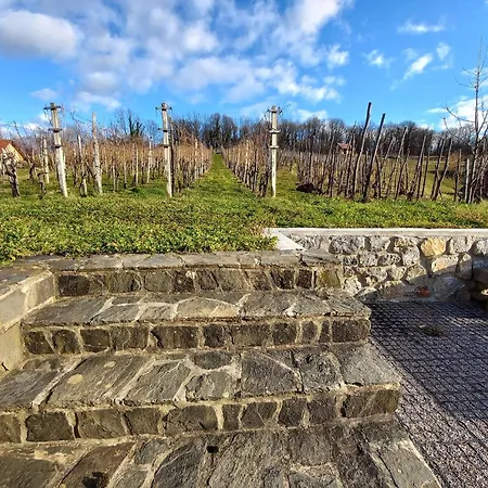 Vineyard Maleric With Pool Access