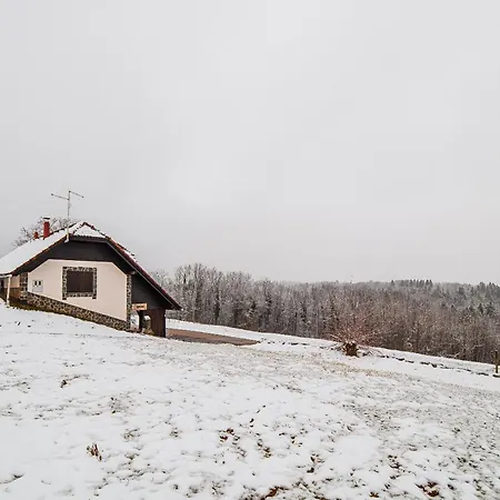 Vineyard Maleric With Pool Access Daire Dragatuš