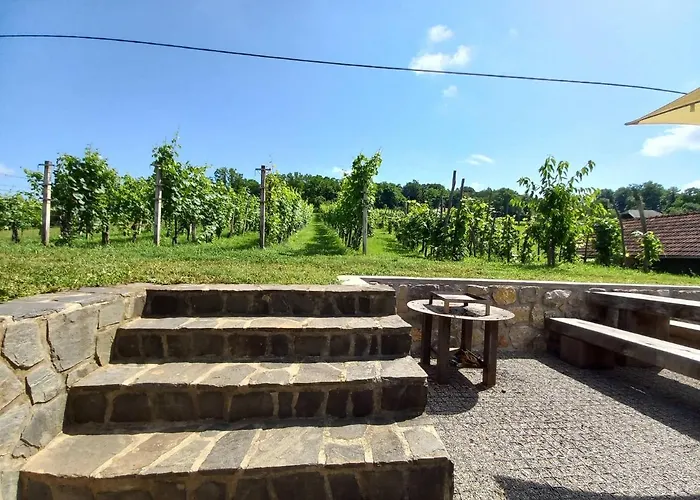 Vineyard Maleric With Pool Access Apartman