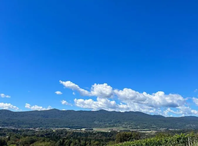 Apartman Vineyard Maleric With Pool Access *