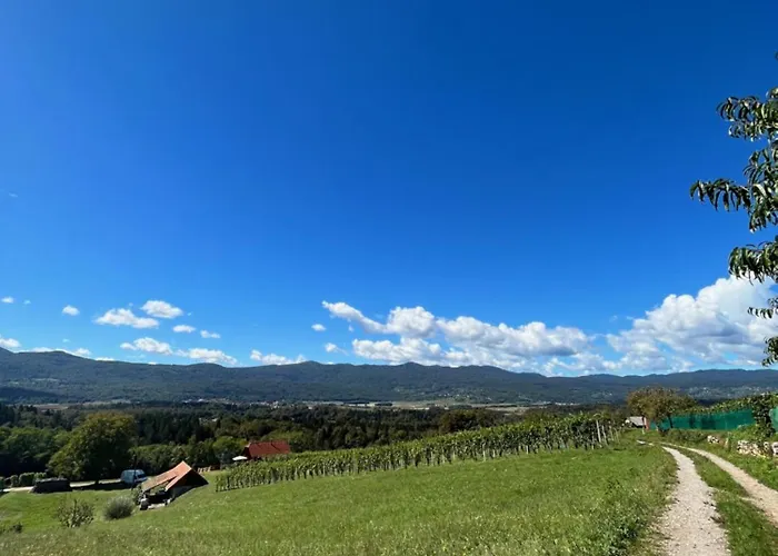 Apartman Vineyard Maleric With Pool Access Dragatus