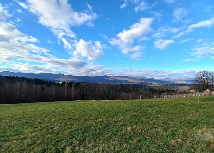 Vineyard Maleric With Pool Access * Dragatuš