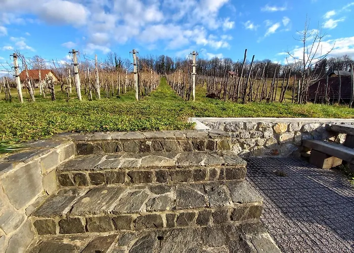 Vineyard Maleric With Pool Access