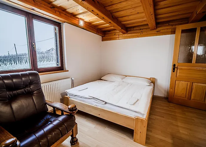 Vineyard Maleric With Pool Access * Dragatuš