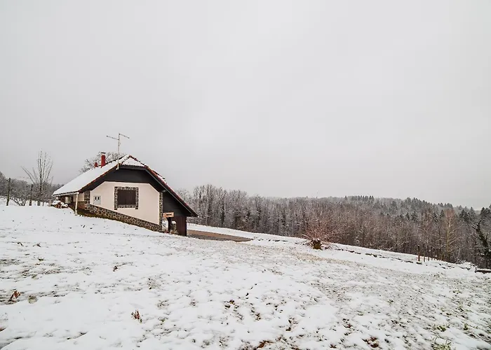 Vineyard Maleric With Pool Access Appartement Dragatuš